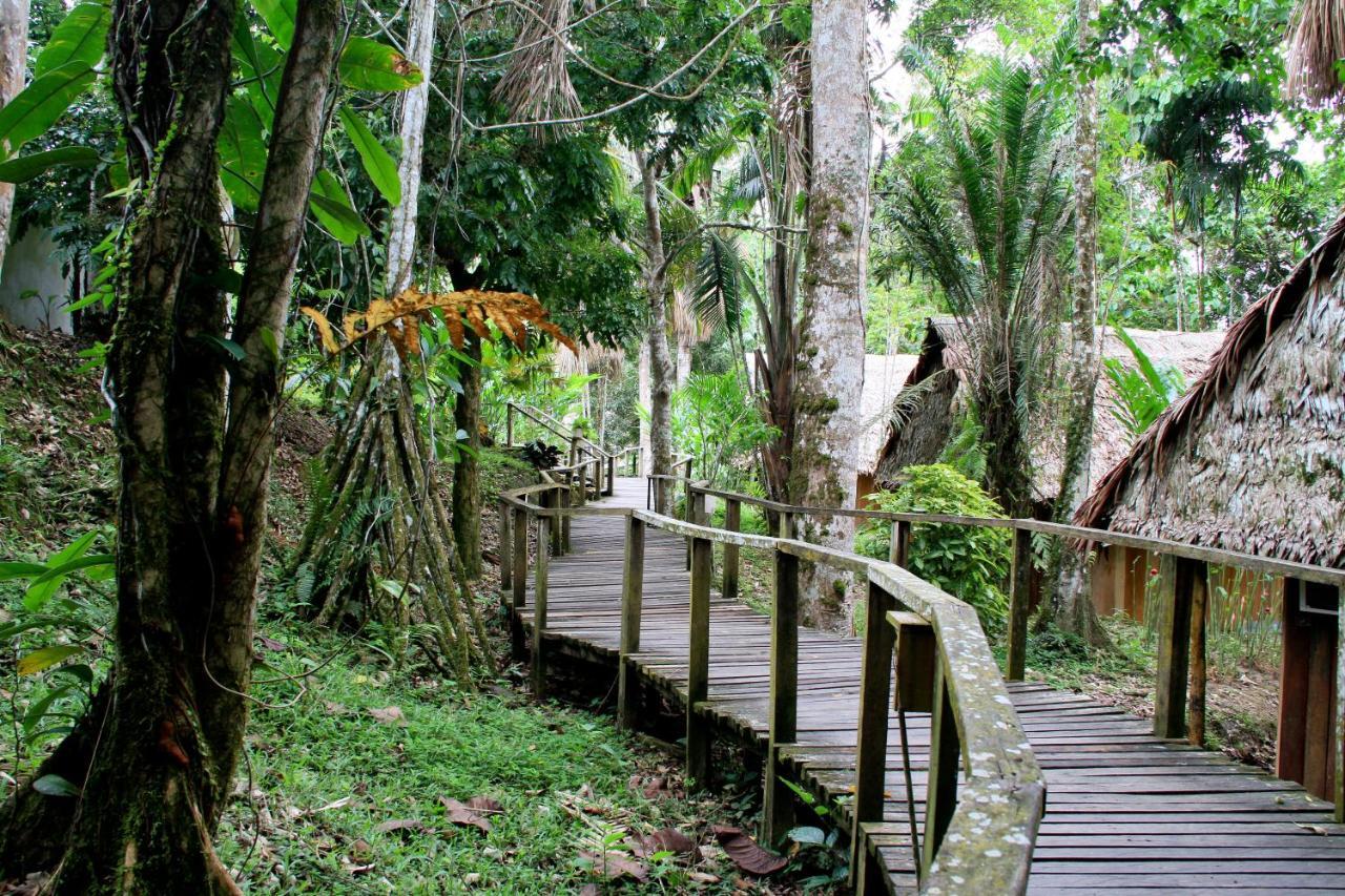 Ceiba Tops Santa Teresa  Eksteriør bilde
